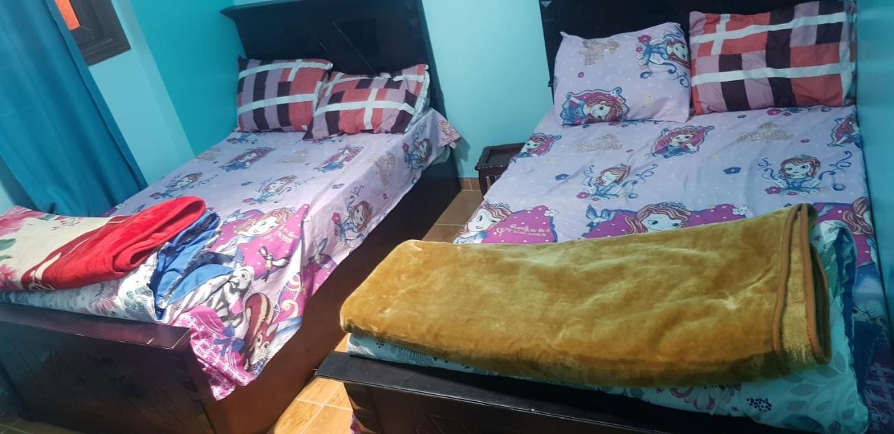 Mody Appartment At אלכסנדריה מראה חיצוני תמונה
